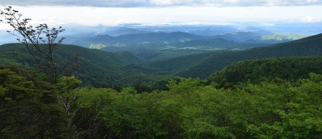 Forested Appalachian ridges under a cloudy sky